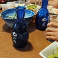 今日は曇りでよかった