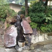 箱根大平台温泉　姫之湯（神奈川県）