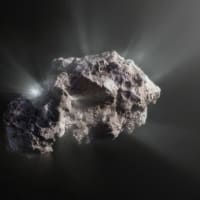最初の恒星間彗星は最も始原的な彗星