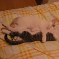 ラブラブです。