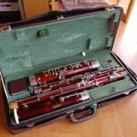 珍しい楽器 - 一陽来復~近藤聡彦のファゴットブログ~ 珍しい楽器 - 一陽来復~近藤聡彦のファゴットブログ~
