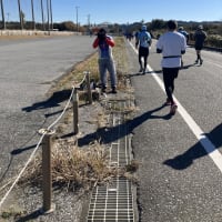2025　第45回若潮マラソンはDNFでしょぼ～ん(*´з`)