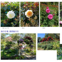 旅先に見る世界の植物園＿８（タイ）　－シリキット王妃植物園 2020.1 －