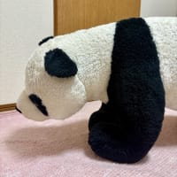 暑くて暑くて…困ったものです。