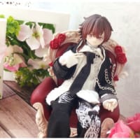 カスタムヘッド OBヘッド [DENKA] オビツ11 - HELMI