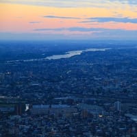 夜景と天空のお花畑。。。