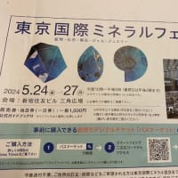 東京藝術大学名誉教授・野口三千三落下の石……鉱物標本開発