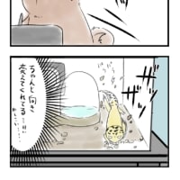 レオパ、人間の言葉分かってる説