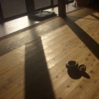 ２月の日ざし、命日と室内菜園