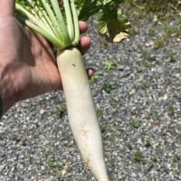 今日もあっという間に～(^▽^)/