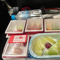 【ハノイ】JAL機内食はフルーツミールをリクエスト