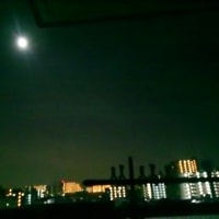 何年ぶり？