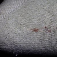 靴下の上から