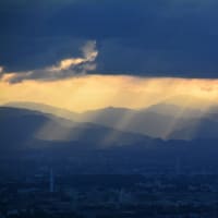 「逆境を大きな喜びの種...」