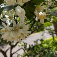 ６月12日