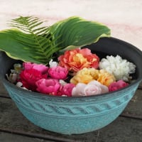 花の端境期の水林自然林には菌従属栄養植物などが（2025.6.8）#2 そして四季の里バラ園に