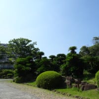 七夕　星に願いを・・・’25