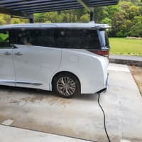 ヴェルファイアエグゼクティブラウンジPHEVを充電晩御飯は刺身