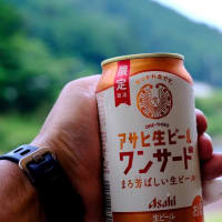 キャンプ飯は炭火で豪快に-三重県紀北町：「キャンプ inn 海山」