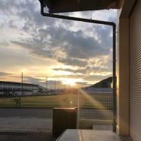 夕陽を眺めて元気いっぱいに♡