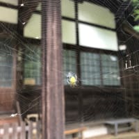 詐欺かしら？　無料の言葉　こわいわぁ💦