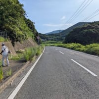 国道除草作業