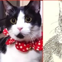 ときどき　らくがき　５。