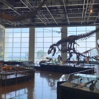 長崎恐竜博物館