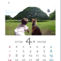 明日は、また寒いそうな　(＠_＠;)