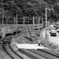 １９８５年８月 日豊本線 / 市棚・北川駅 20系臨時列車