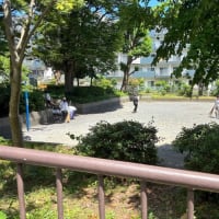 日曜日