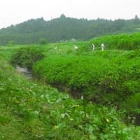 びわ湖を美しくする運動
