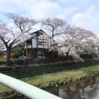 今年はムズかった(;´･ω･)