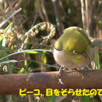 反省の反省！！