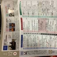 連続ドラマW 悪党〜加害者追跡調査〜