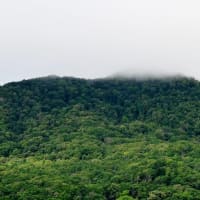 2024.08.07(水)AM07:42の藻岩山・平和祈念塔・円山・三角山