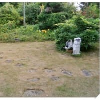 夏至までになんとか