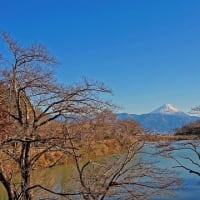 厳冬の富士山望遠　その　6