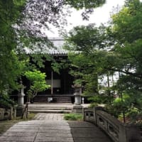 家庭の食卓の佃煮