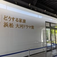 史跡ポタ「どうする家康 (17)(18) 」三方原～浜松城