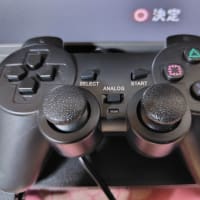 ６月１１日