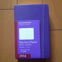 モレスキン