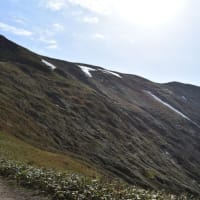 薫風の平標山から帰りました。