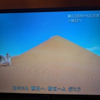 朝も夜も