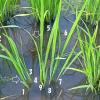 意地悪ですかねぇ…？