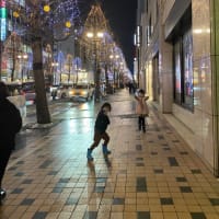 札幌大通りホワイトイルミネーション