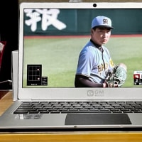 セ・パ交流戦 楽天vs阪神