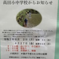 明日は、除草作業です！