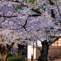 青森・北海道の撮影旅行その８
