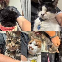 2025/7/6の歯磨きタイム